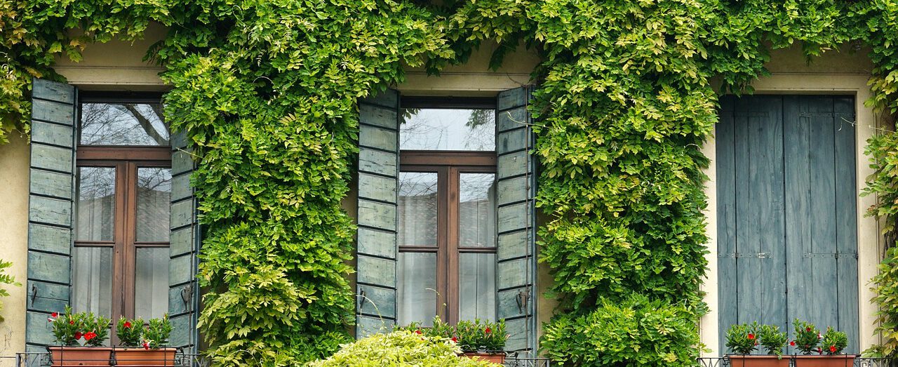 Sunlit window view at Salaams Kailas residence